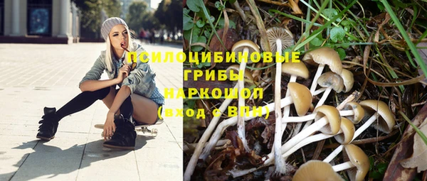 mix Богданович