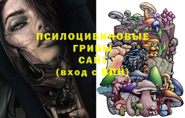 МДПВ Богородицк