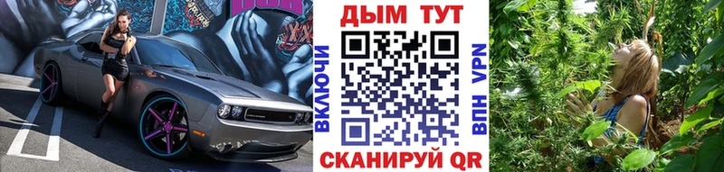продажа наркотиков  Наволоки  Каннабис марихуана 